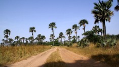 1savane