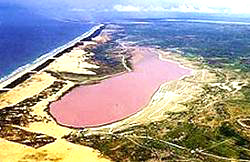 Lac-rose