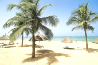 Saly 5