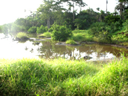 Ziguinchor 2006 1
